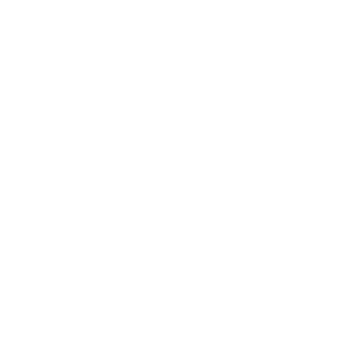 Voluntarios